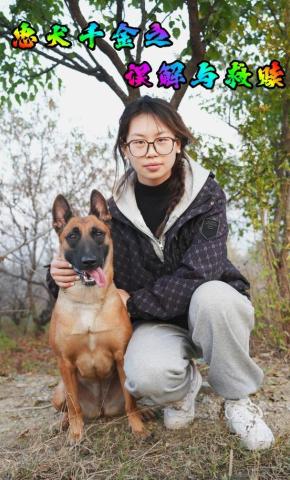 短剧《忠犬千金之误解与救赎》海报