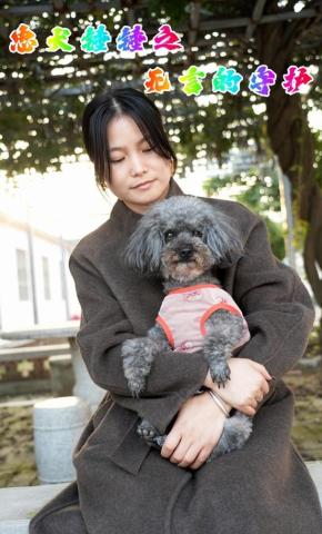 短剧《忠犬锤锤之无言的守护》海报