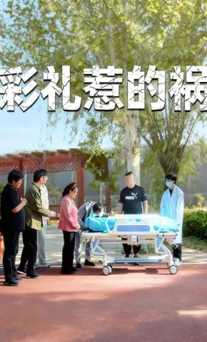 短剧彩礼惹的祸海报