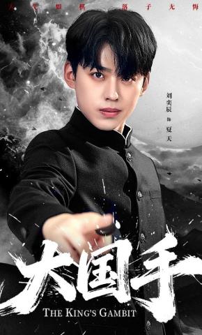 短剧《大国手》海报