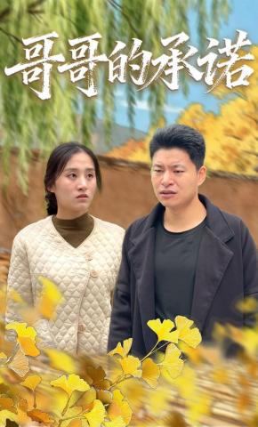 短剧《哥哥的承诺》海报