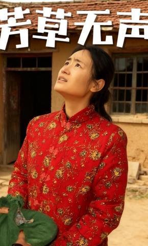 短剧《芳草无声》海报