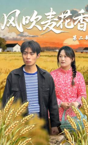 短剧《风吹麦花香第二部》海报