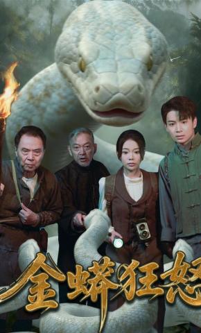 短剧《金蟒狂怒》海报