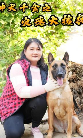 短剧神犬千金之火速大援救海报