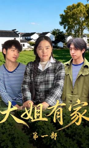 短剧《大姐有家第一部》海报