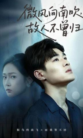 短剧《微风向南吹，故人不曾归》海报