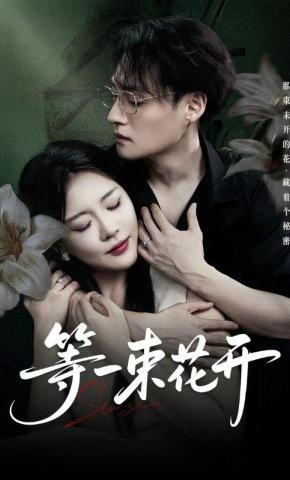 短剧等一束花开海报