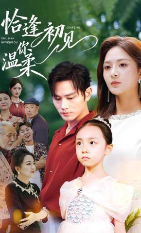 短剧《恰逢初见你温柔》海报