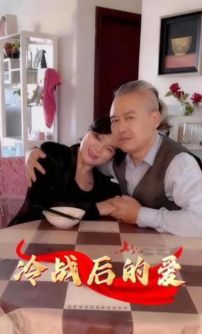 短剧冷战后的爱海报