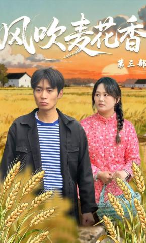 短剧《风吹麦花香第三部》海报
