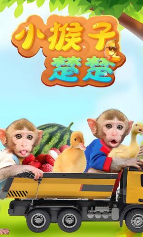 短剧《小猴子楚楚》海报