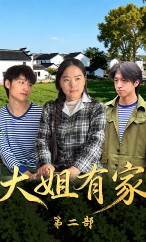 短剧大姐有家第二部海报