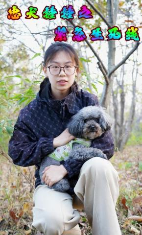 短剧忠犬锤锤之紧急生死线海报