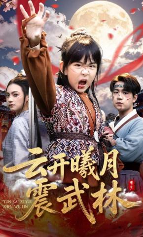 短剧《云开曦月震武林》海报