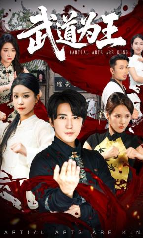 短剧《武道为王》海报