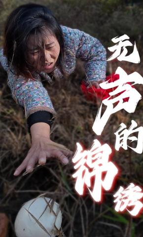 短剧无声的锦绣海报