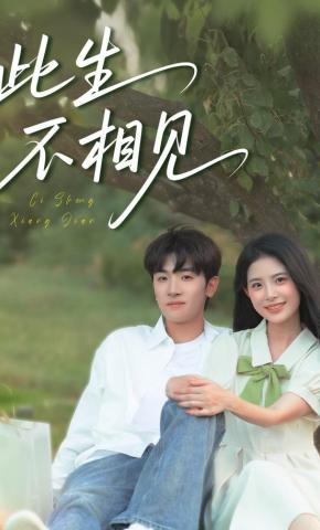 短剧《此生不相见》海报