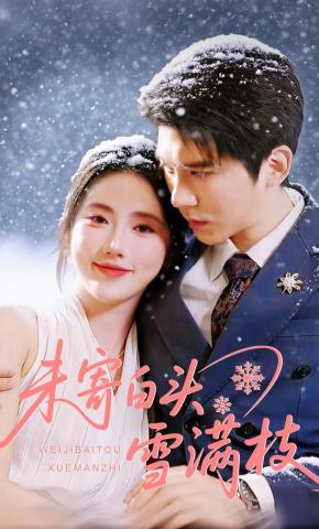 短剧《未寄白头雪满枝》海报