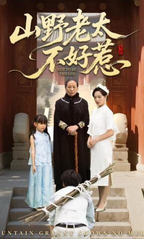 短剧《山野老太不好惹》海报