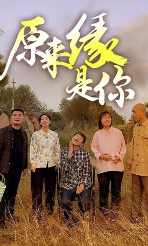 短剧《原来缘是你》海报