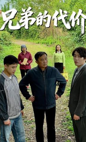 短剧兄弟的代价海报