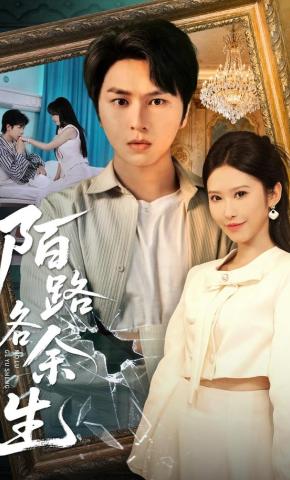 短剧陌路各余生海报