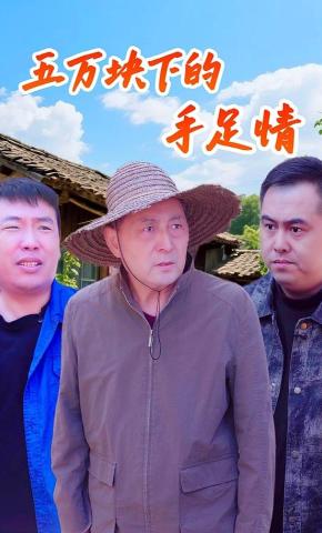 短剧《五万块下的手足情》海报