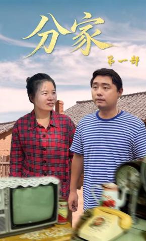 短剧《分家第一部》海报