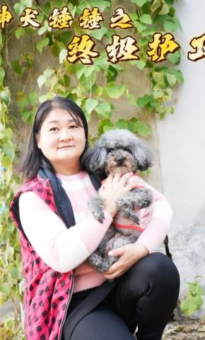 短剧神犬锤锤之终极护卫海报