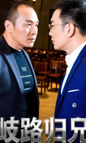 短剧歧路归兄海报