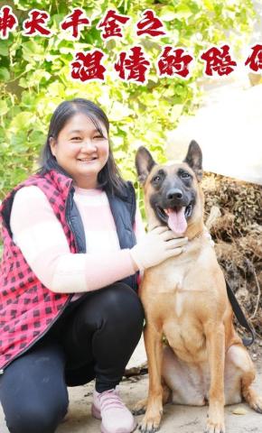 短剧《神犬千金之温情的陪伴》海报