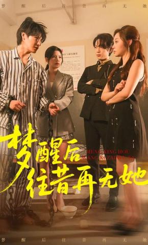 短剧《梦醒后往昔再无她》海报