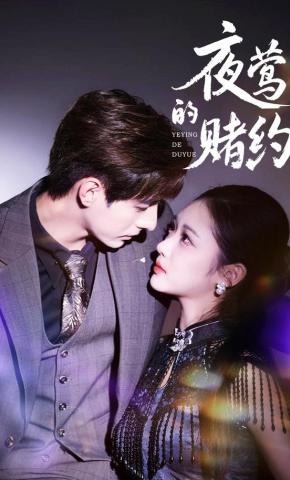 短剧夜莺的赌约海报