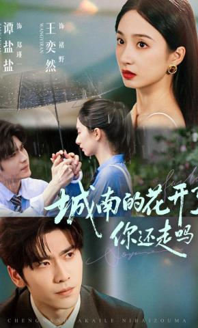 短剧《城南的花开了，你还走吗》海报