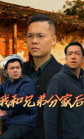 短剧《我和兄弟分家后》海报