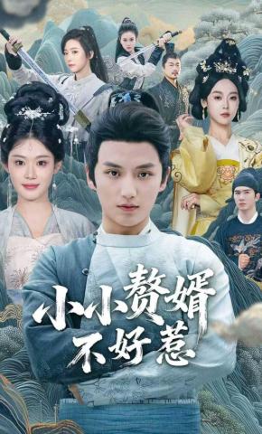 短剧《小小赘婿不好惹》海报