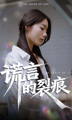 短剧谎言的裂痕海报