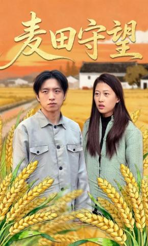 短剧《麦田守望》海报