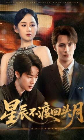 短剧星辰不渡回头月海报