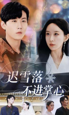 短剧迟雪落不进掌心海报