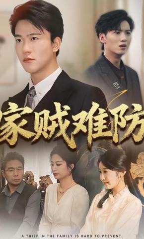 短剧家贼难防海报