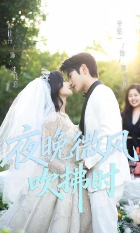 短剧《夜晚微风吹拂时》海报