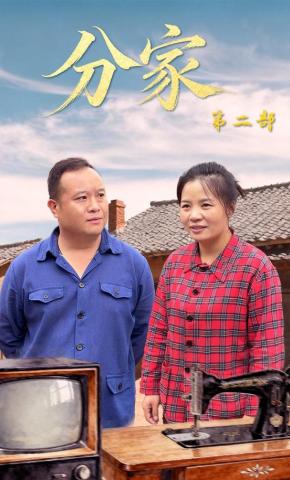短剧《分家第二部》海报