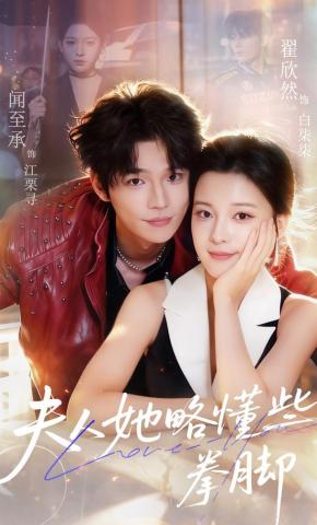 短剧《夫人她略懂些拳脚》海报