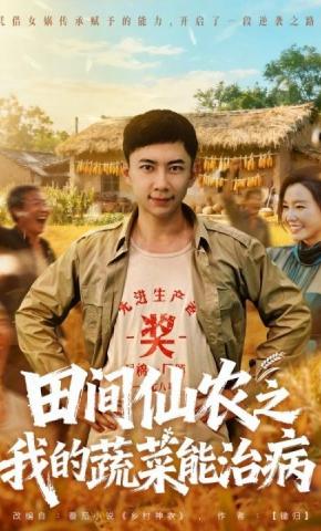 短剧《田间仙农之我的蔬菜能治病》海报