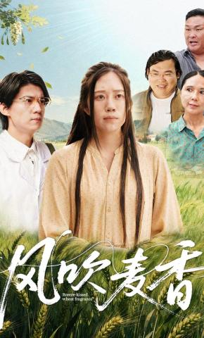 短剧《风吹麦香》海报