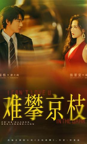 短剧《难攀京枝》海报