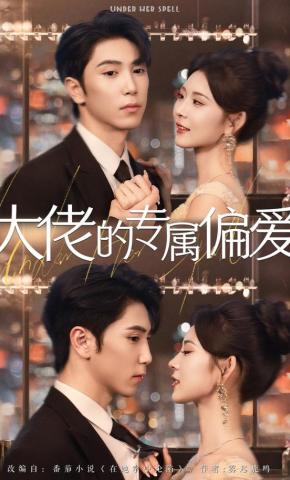 短剧《大佬的专属偏爱》海报