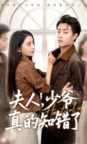 短剧《夫人，少爷真的知错了》海报